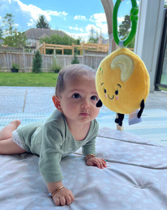 LITTLE LITTLE LADOO WITH CLIP